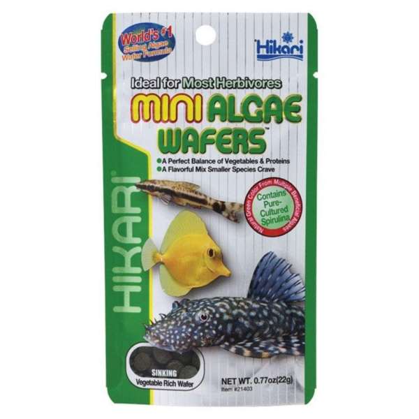 Hikari Mini Algae Wafers