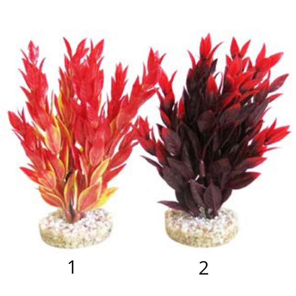 Rosewood Fiesta Ruscus