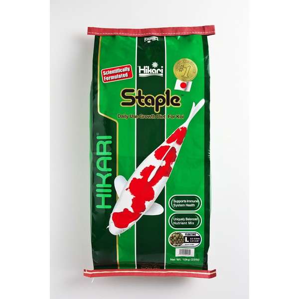 Hikari Staple Large