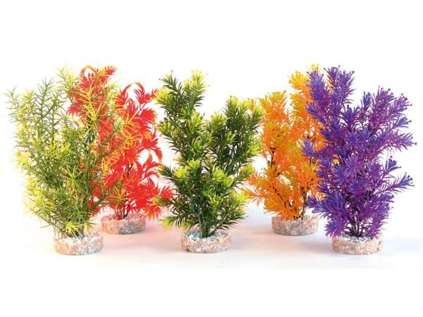 Rosewood Jungle