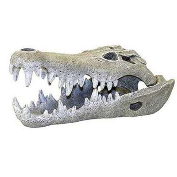 Rosewood Nile Crocodile Skull