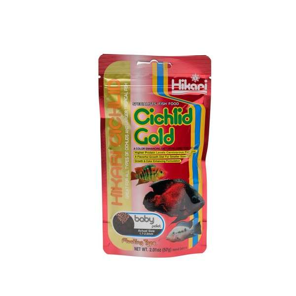 Hikari Cichlid Gold Baby
