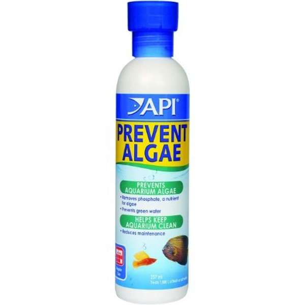 Api Liquid Prevent Algae