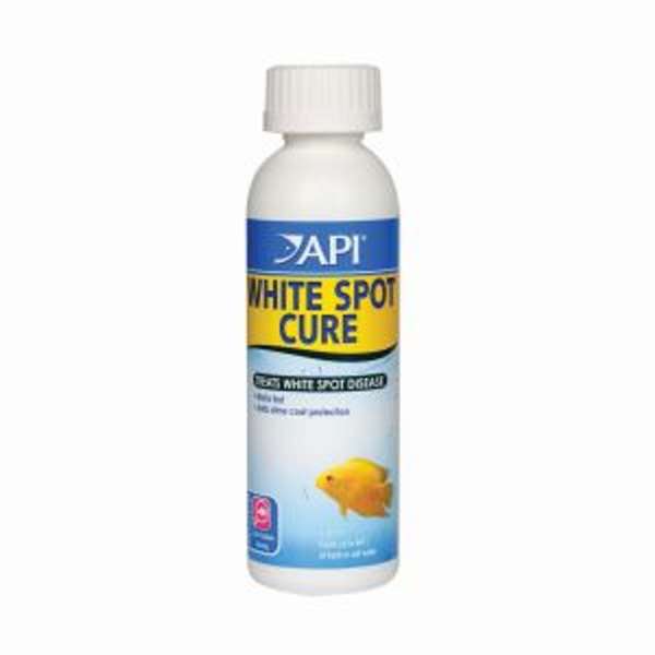 Api White Spot Cure
