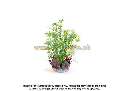 Rosewood Tropic Aquaplant With Rocks