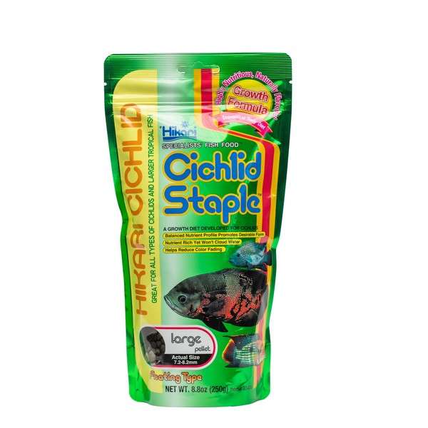 Hikari Cichlid Staple Large