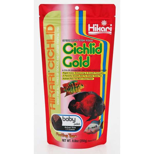 Hikari Cichlid Gold Baby