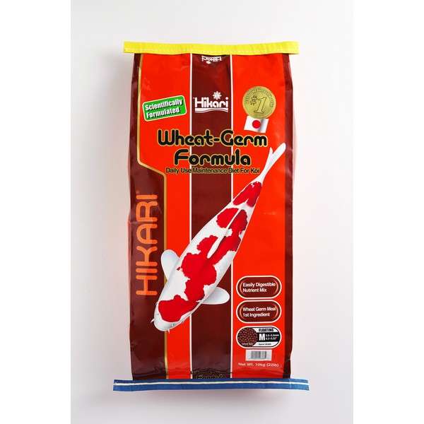 Hikari Wheat-Germ Formula Medium