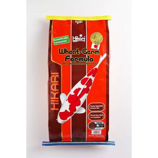 Hikari Wheat-Germ Formula Medium
