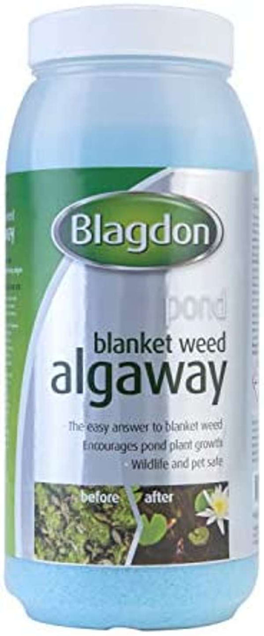 Blagdon Treat Pond Blanketweed Algaway