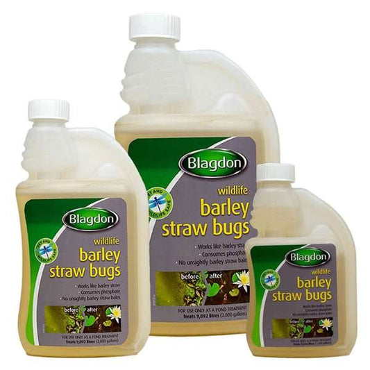 Blagdon Wildlife Barley Straw Bugs
