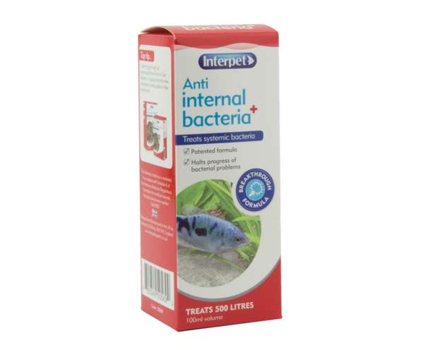 Interpet Anti Internal Bacteria Plus