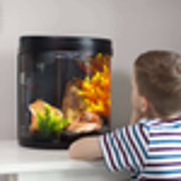 Interpet Aquarium Fish Box Led Half-Moon