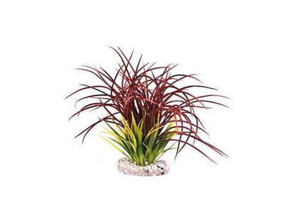 Rosewood Fan Grass