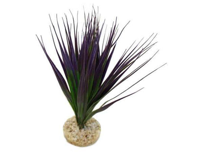 Rosewood Amazonia