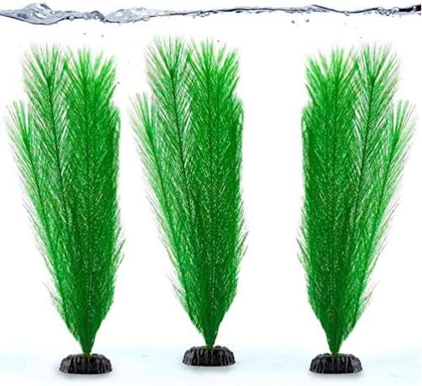 Rosewood Water Fern
