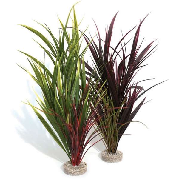 Rosewood Wild Grass