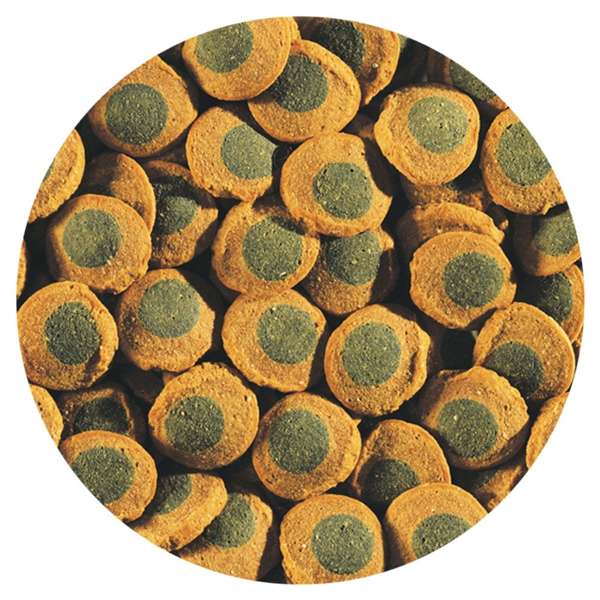 Tetra Spirulina Wafers