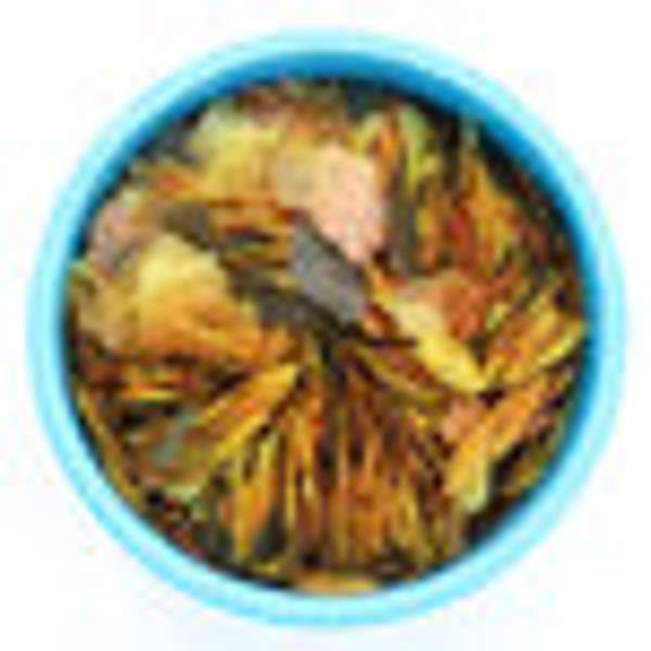 Aquarian Tropical Fish Flakes