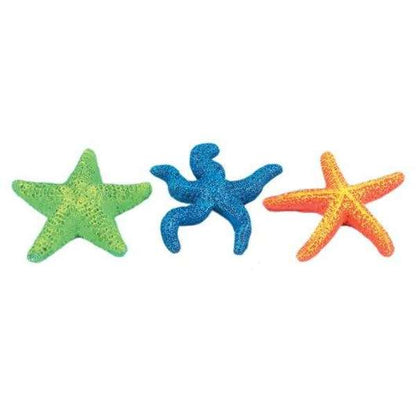 Classic Star Fish