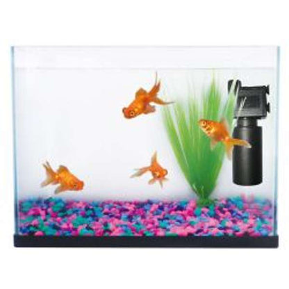 Fish R Fun Aquarium Starter Kit