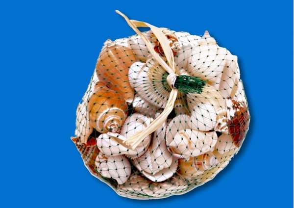 Unipac Shells In Nets