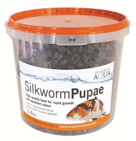 Evolution Aqua Silkworm