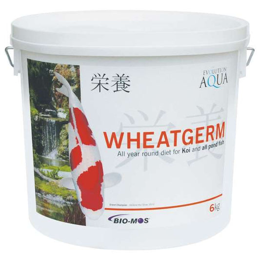 Evolution Aqua Wheatgerm