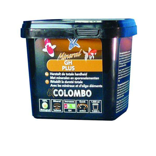 Colombo Gh Plus