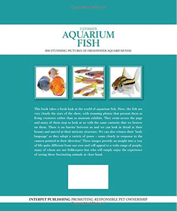 Interpet Pet Brands Ultimate Aquarium Fish